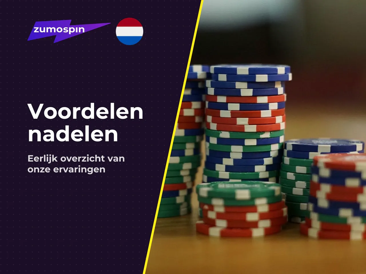 Voordelen en nadelen van Zumospin. Voordelen