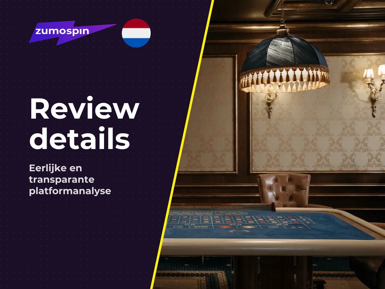 Voor wie is deze review relevant